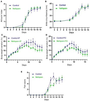 Improvement of Pain Management by Nefopam in a Rat Adjuvant-Induced Arthritis Model